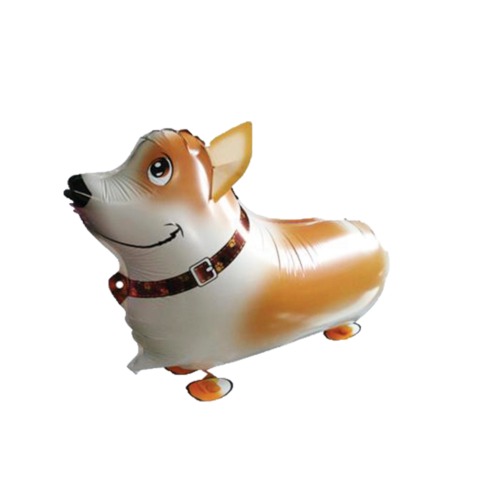 Walking Corgi Balloon | Balloon Party Singapore